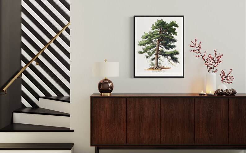 May include: A framed botanical illustration of a Eastern White Pine tree with the text "Eastern White Pine" below the image. The frame is black and the image is on a white background. The print is displayed on a wall above a dark brown wooden dresser with a gold lamp and a white vase with red berries.