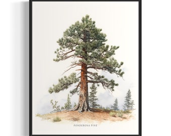 Ponderosa Pine Tree Art Print, Ponderosa Pine Tree Wall Art Poster