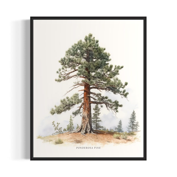 Ponderosa Pine Tree Art Print, Ponderosa Pine Tree Wand Kunst Poster