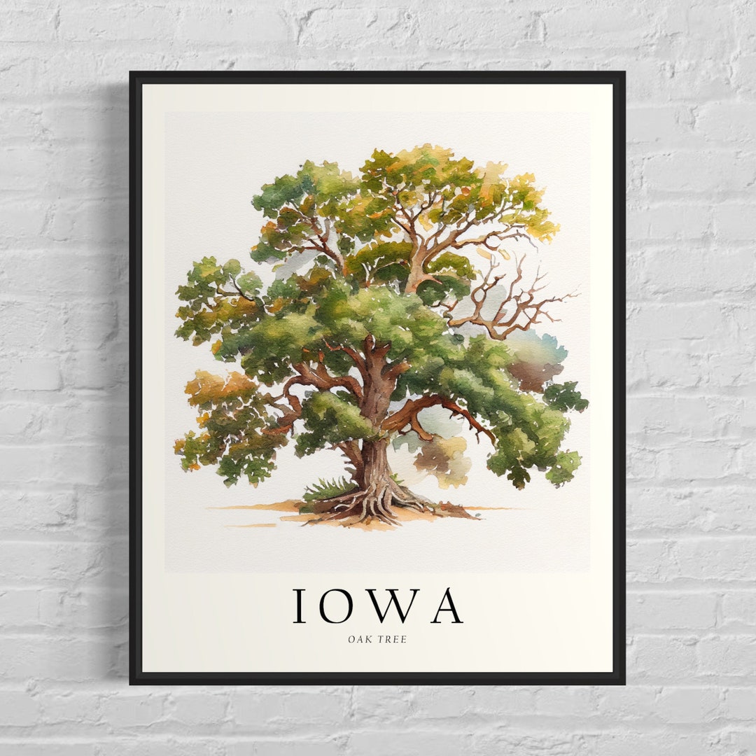 Iowa State Tree Art Print, Oak Tree Wall Art, State Tree Symbol Artwork