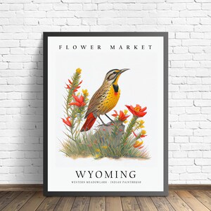 Wyoming State Bird and Flower Art Print, Wyoming State Flower, Wyoming ...