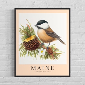 Impresión artística de aves del estado de Maine, flor del estado de Maine, arte de pared de Maine, decoración del hogar