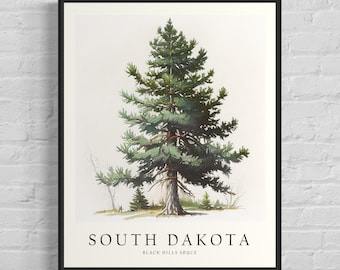 South Dakota State Tree Art Print, Black Hills Spruce Tree Wall Art, State Tree Symbol Artwork