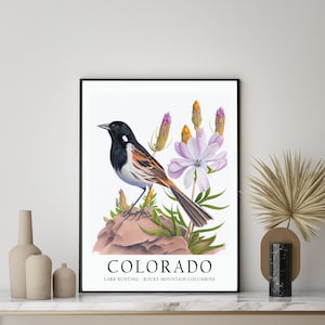 Colorado State Bird Art Print, Colorado State Flower, Colorado Wall Art, Home Decor
