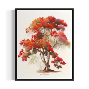 May include: A watercolor painting of a flame tree with red and orange flowers. The tree is depicted against a white background with the text "FLAME TREE" at the bottom.
