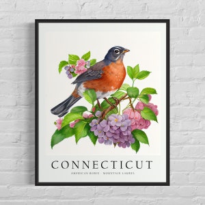 Connecticut State Bird Art Print, Connecticut State Flower, Connecticut Wall Art, Home Decor