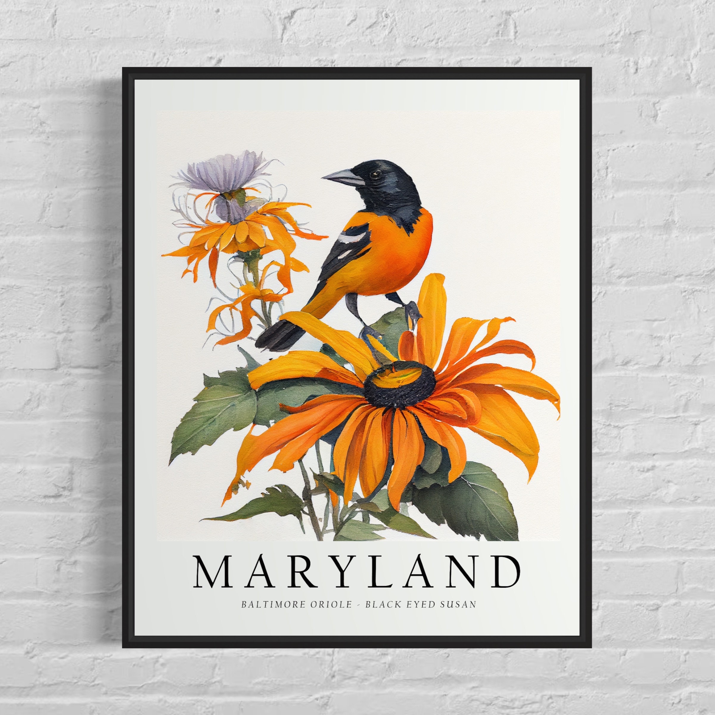 Maryland State Bird Art Print, Maryland State Flower, Maryland