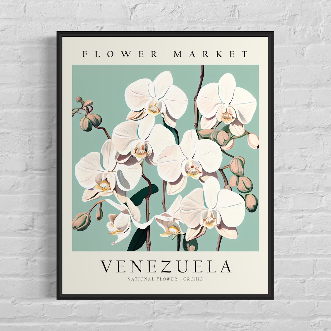 Venezuela Flower Market Art Print, Venezuela Flower, Orchid Wall
