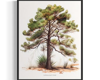 Longleaf Pine Tree Art Print, Longleaf Pine Tree Wall Art Poster