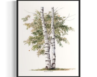 Birch Tree Art Print, Birch Tree Wall Art Poster