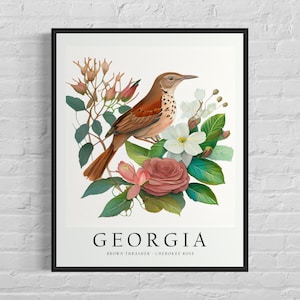 Impresión artística de aves del estado de Georgia, flor del estado de Georgia, arte de pared de Georgia, decoración del hogar
