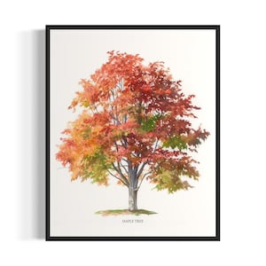 Ahorn Baum Kunstdruck, Ahorn Wand Kunst Poster