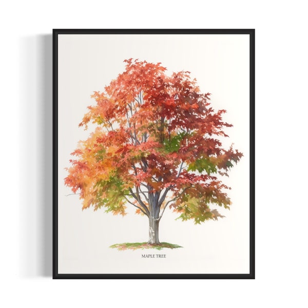 Maple Tree Art Print, Maple Tree Wall Art Poster