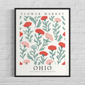 Impresión artística de la flor del estado de Ohio, mercado de flores de Ohio, clavel escarlata, arte de pared de los años 60, obra de arte botánica en tonos pastel neutros