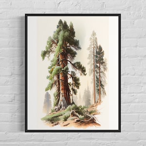 Giant Sequoia tree Wall Art Print Poster