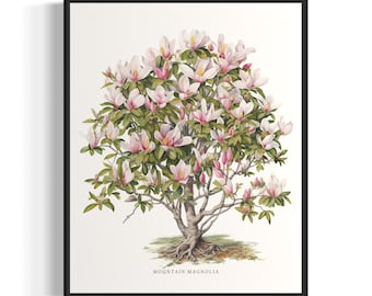 Mountain Magnolia Tree Art Print, Mountain Magnolia Tree Wall Art Poster