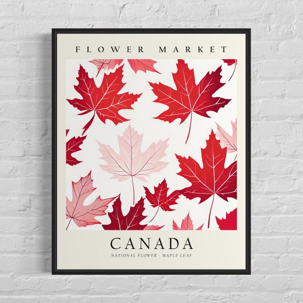 Canada Flower Market Art Print, Canada Flower, Maple Leaf Wall Art, Botanical Pastel Artwork