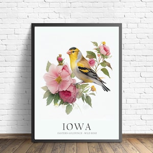 Iowa State Bird Art Print, Iowa State Flower, Iowa Wall Art, Home Decor