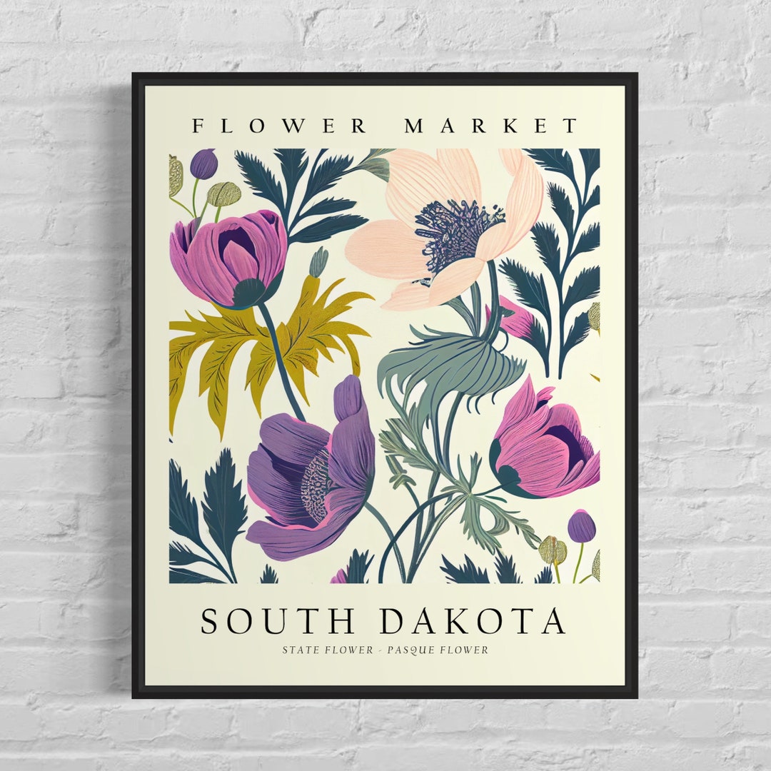 South Dakota State Flower, South Dakota Flower Market Art Print, Pasque
