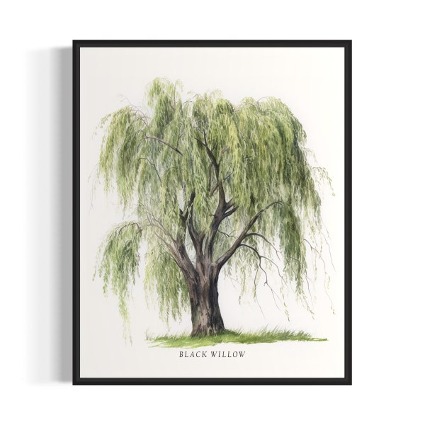 Black Willow Tree Art Print, Black Willow Tree Wand Kunst Poster