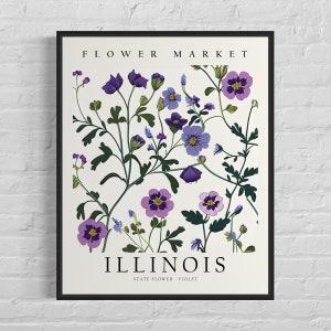 Impresión artística de la flor del estado de Illinois, mercado de flores de Illinois, arte mural violeta de los años 60, obra de arte botánica en tonos pastel neutros