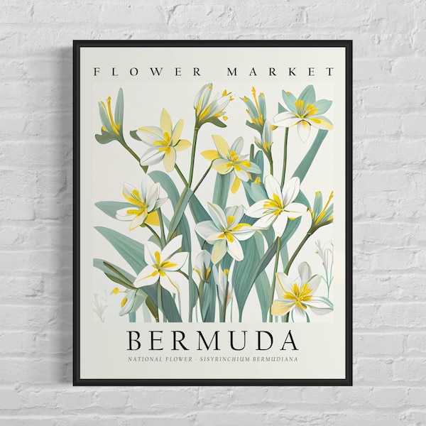Bermuda National Flower, Flower Market Art Print, Sisyrinchium Bermudiana 1960's Wall Art , Neutral Botanical Pastel Artwork