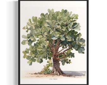 Fig Tree Art Print, Fig Tree Wall Art Poster