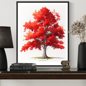 Red Maple Tree Art Print, Red Maple Tree Wall Art Poster - Etsy