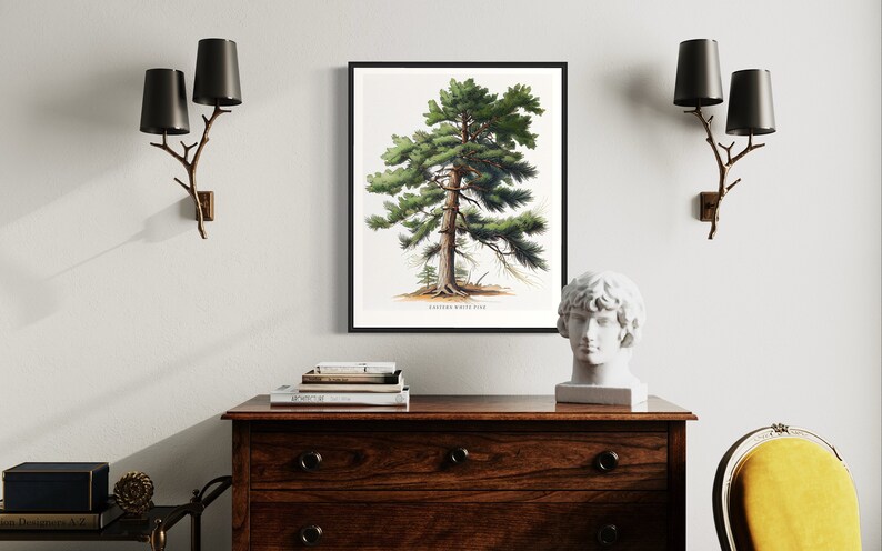 May include: A framed botanical illustration of a Eastern White Pine tree with a white background and black frame. The print is displayed on a wooden dresser with a bust of a man and two black lampshades on either side.
