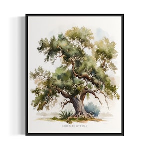 Southern Live Oak Tree Art Print, Southern Live Oak Tree Wall Art Poster
