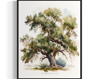 Southern Live Oak Tree Art Print, Southern Live Oak Tree Wall Art Poster