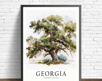 Georgia State Tree Art Print, Southern Live Oak Tree Wall Art, State Tree Symbol Artwork