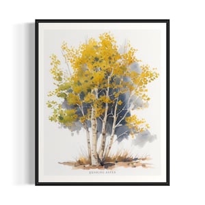 Quaking Aspen Tree Art Print, Quaking Aspen Tree Wall Art Poster