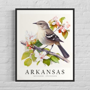 Arkansas State Bird Art Print, Arkansas State Flower, Arkansas Wall Art ...
