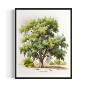 Pecan Tree Art Print, Pecan Tree Wall Art Poster