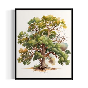 Oak Tree Art Print, Oak Tree Wall Art Poster
