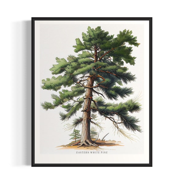 Pine Tree Art Etsy