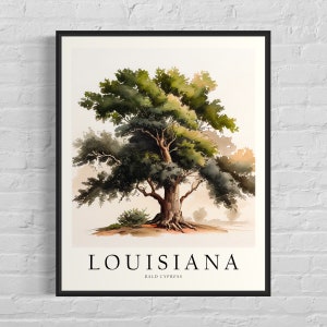Louisiana State Tree Art Print, Bald Cypress Tree Wall Art, State Tree Symbol Artwork