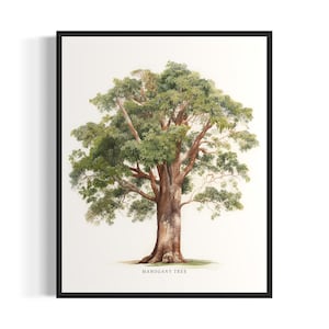 Mahogany Tree Art Print, Mahogany Tree Wall Art Poster