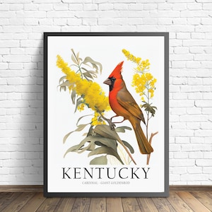Impresión artística de pájaro del estado de Kentucky, flor del estado de Kentucky, arte de pared de Kentucky, decoración del hogar
