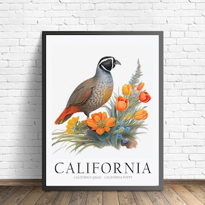 California State Vogel Kunstdruck, California State Blume, Kalifornien Wandkunst, Home Decor