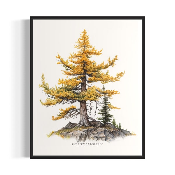 Western Larch Tree Art Print, Western Larch Tree Wall Art Poster