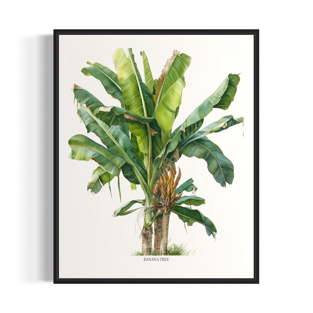 Banana Tree Art Print, Banana Tree Wall Art Poster Etsy