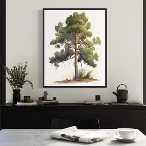 May include: A framed botanical illustration of a green pine tree with a brown trunk and branches. The tree is set against a white background.