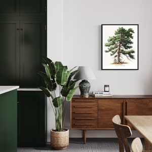 May include: A framed botanical illustration of a pine tree hangs on a white wall above a wooden dresser with a lamp and books. A large green plant is in a woven basket on the floor. The room has a modern farmhouse style.