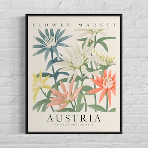 Österreichische Nationalblume, Blumenmarkt Kunstdruck, Edelweiss 1960's Wall Art, Neutral Botanisches Pastell Kunstwerk