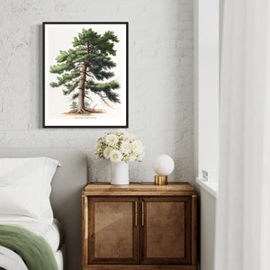 May include: A framed botanical illustration of an Eastern White Pine tree with green needles and a brown trunk. The illustration is on a white background with the text "Eastern White Pine" at the bottom.