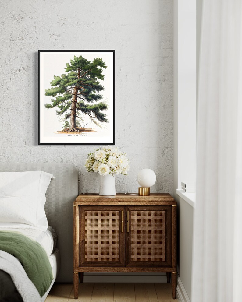 May include: A framed botanical illustration of an Eastern White Pine tree with green needles and a brown trunk. The illustration is on a white background with the text "Eastern White Pine" at the bottom.