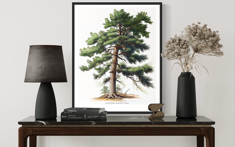 May include: A framed botanical illustration of an Eastern White Pine tree with green needles and a brown trunk. The illustration is on a white background and the frame is black. The illustration is on a table with a black lamp and a vase with dried flowers.