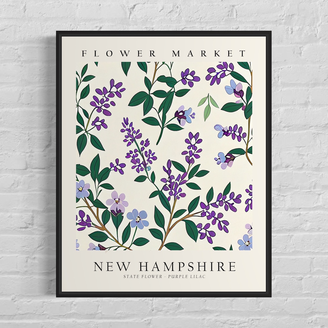 New Hampshire State Flower, New Hampshire Flower Market Art Print